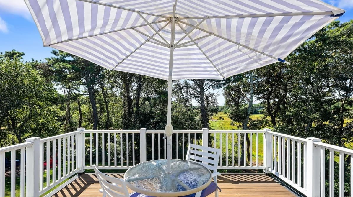 Chatham Bog - Image 26