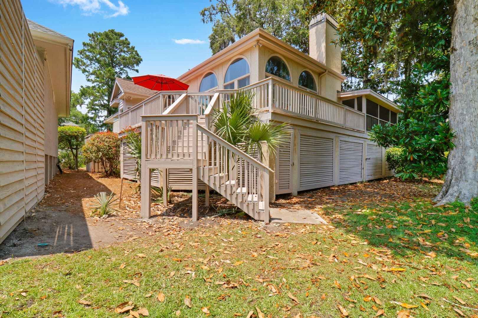 Sweet Carolina - Image 30