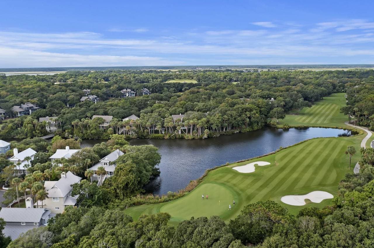 Silver Moss - Image 46