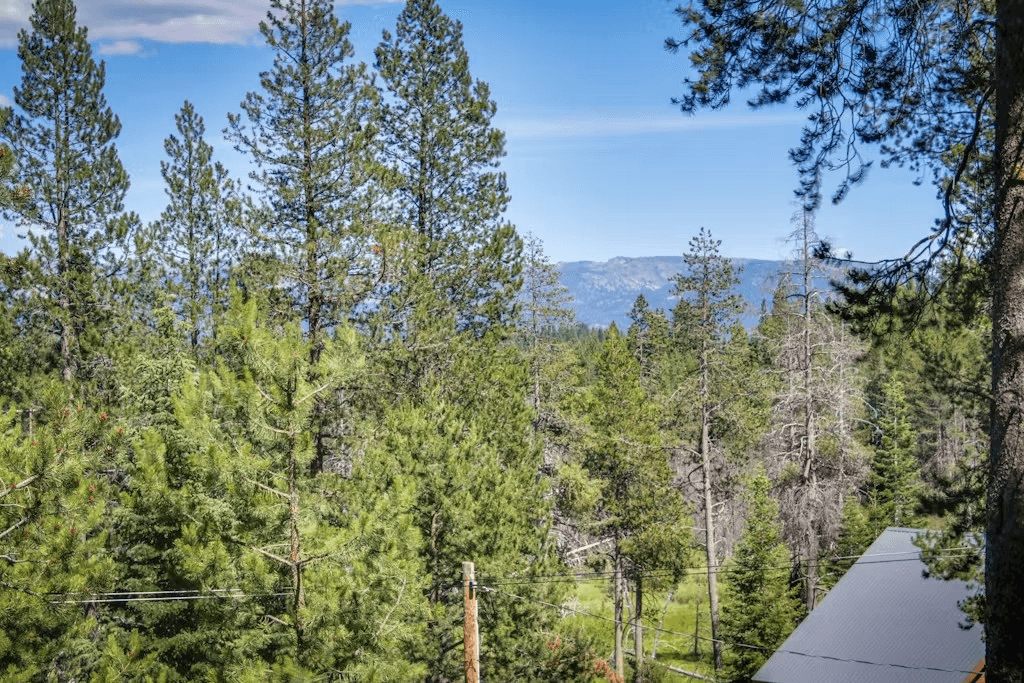 Wooded Escape - Image 27