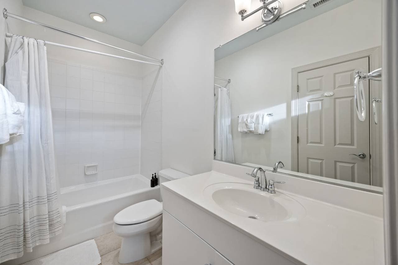 Silver Moss - Image 24