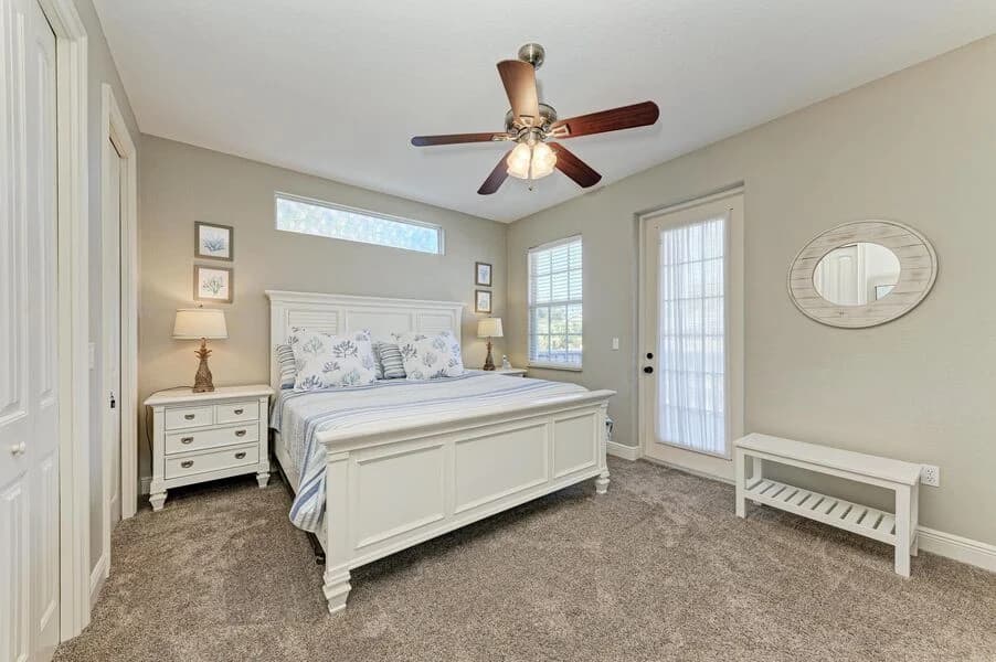 Island Nautilus - Image 13