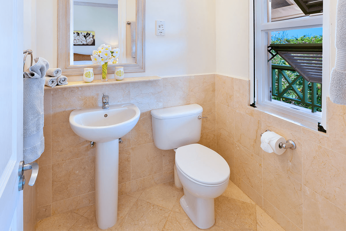 Gorgeous Firefly - Image 10