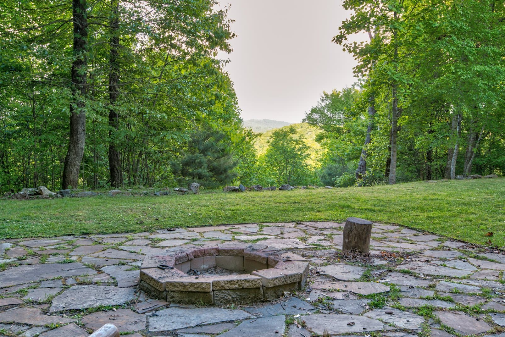 Paws a While - Image 61