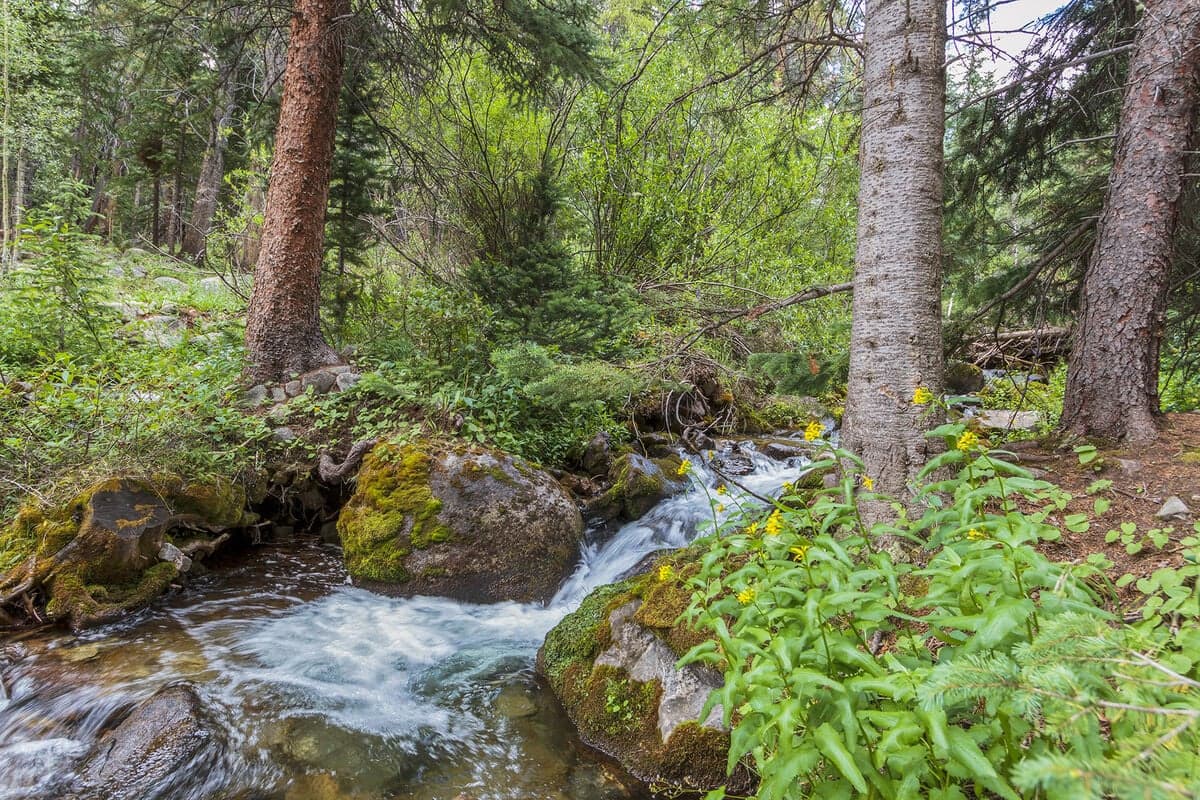 Creekside Chateau - Image 79