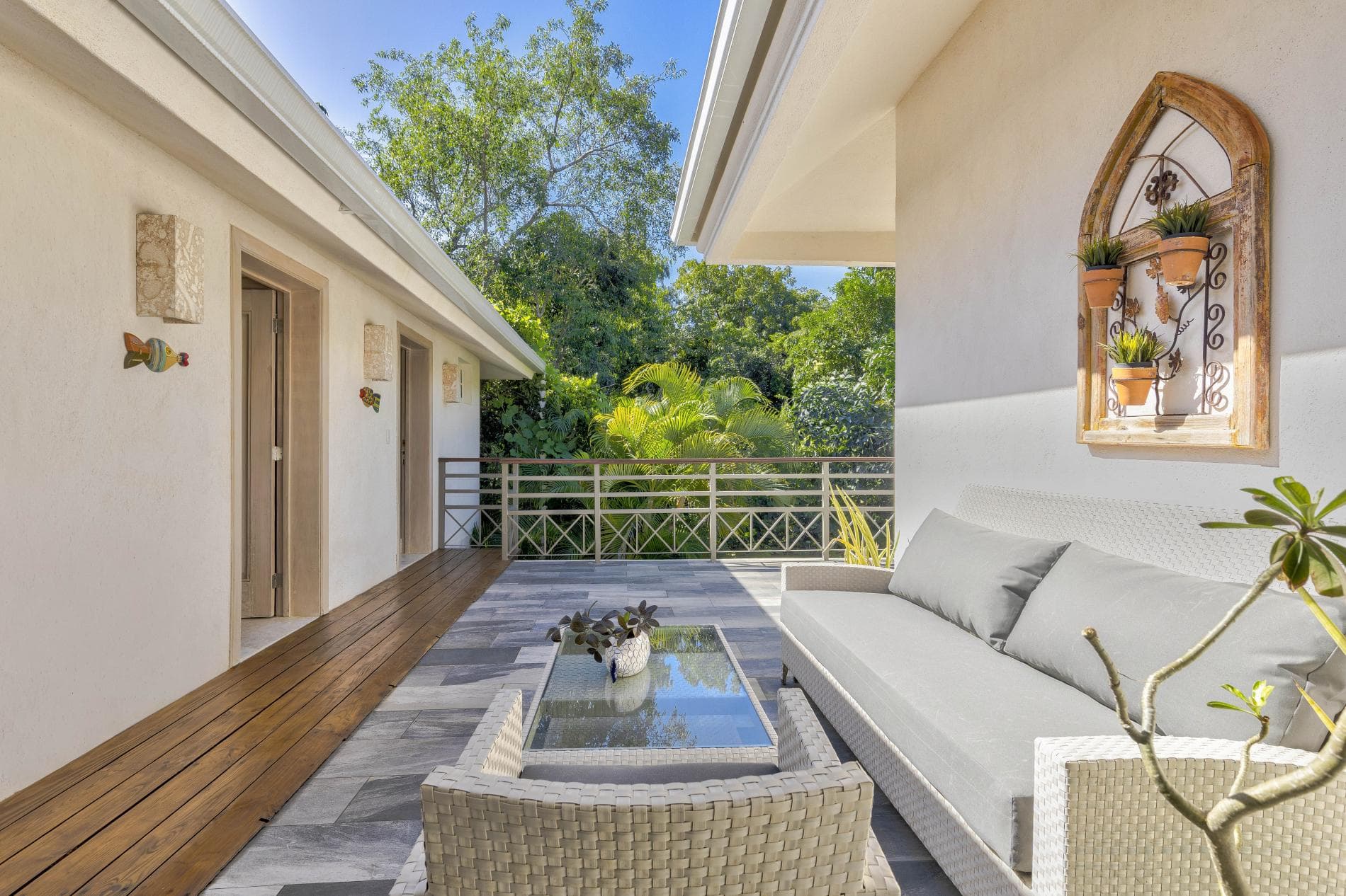 Tortuga #B55 - Image 12