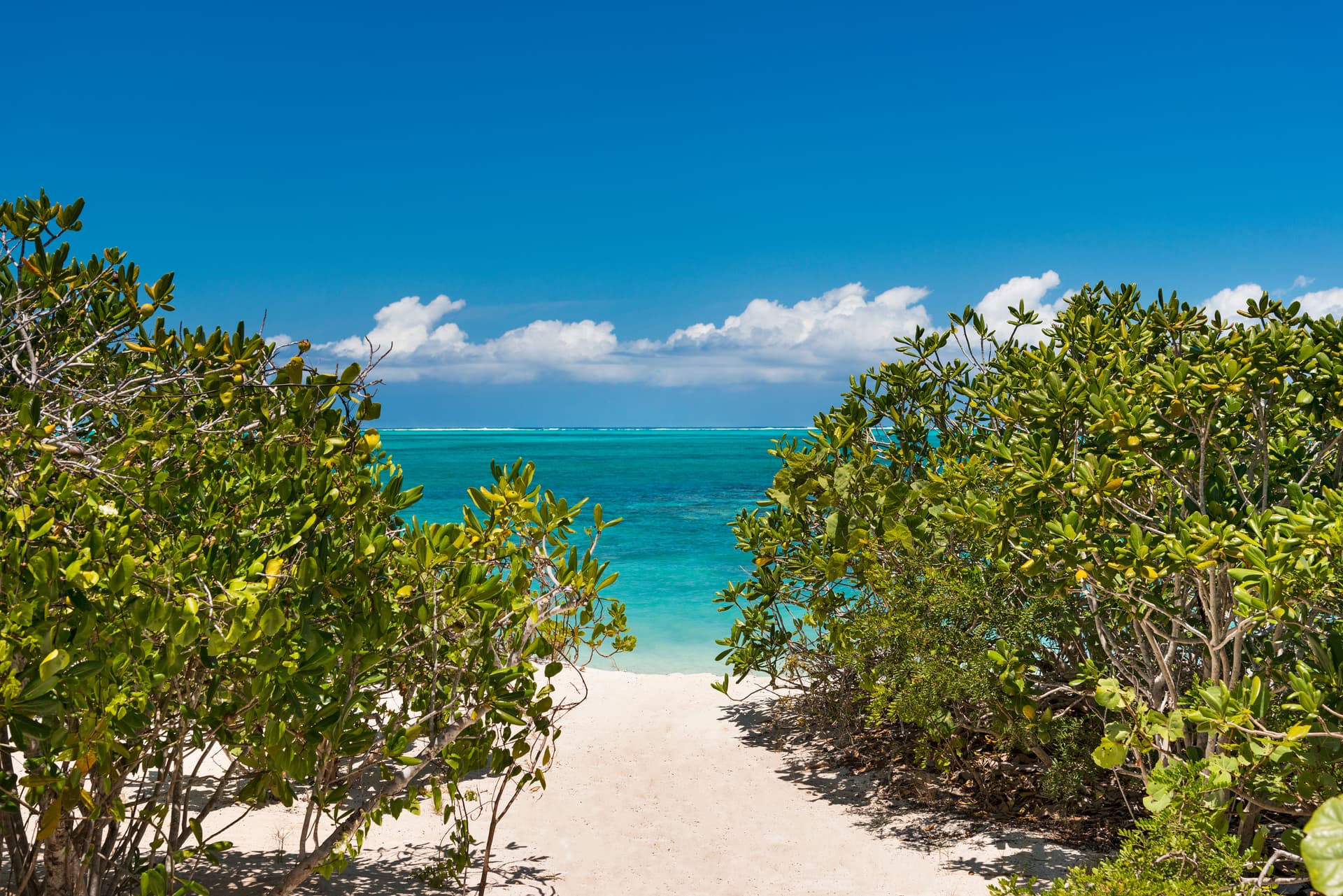 North Shore Four Bedroom Beachfront - Image 23