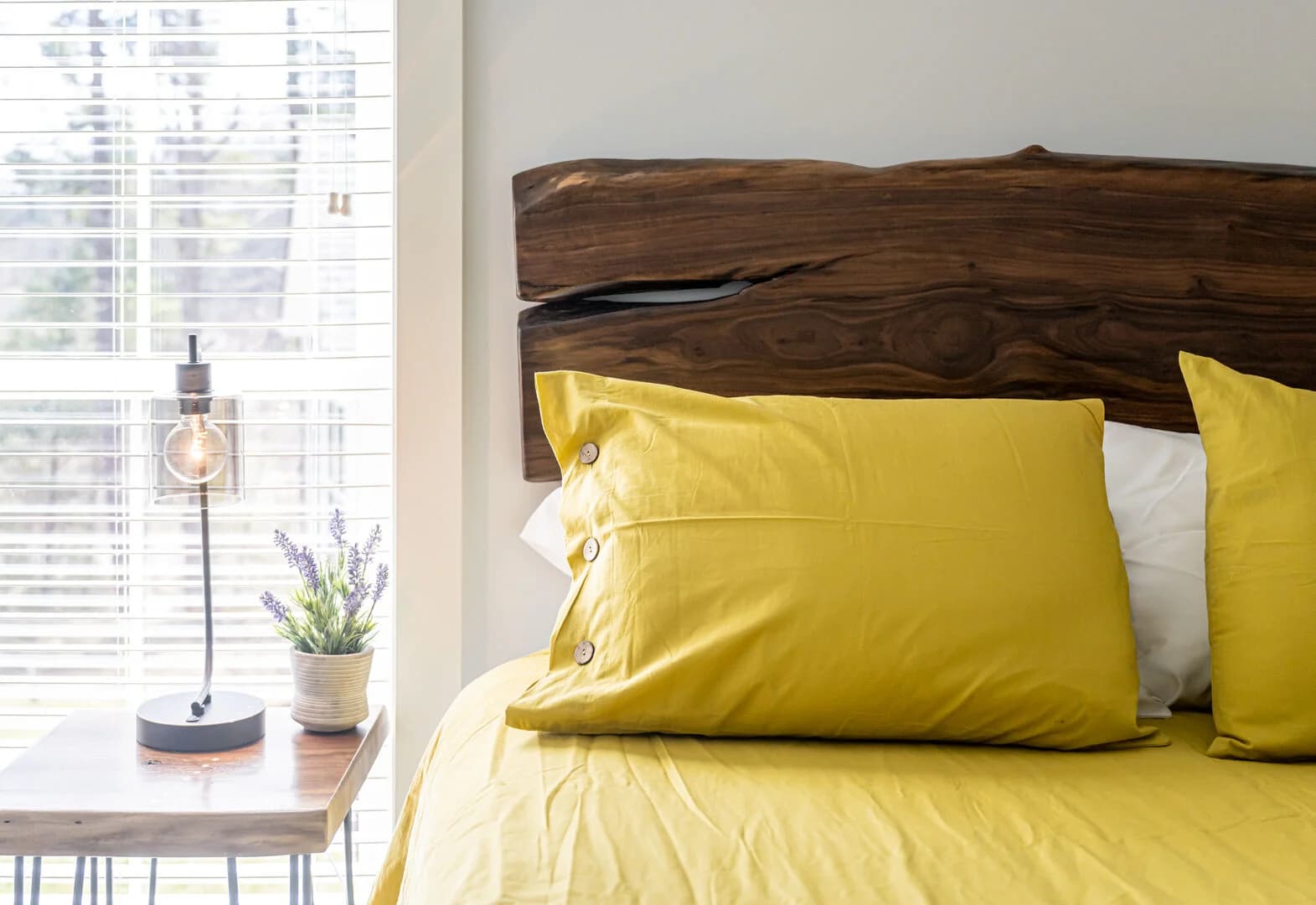 Birds Nest Home - Image 18