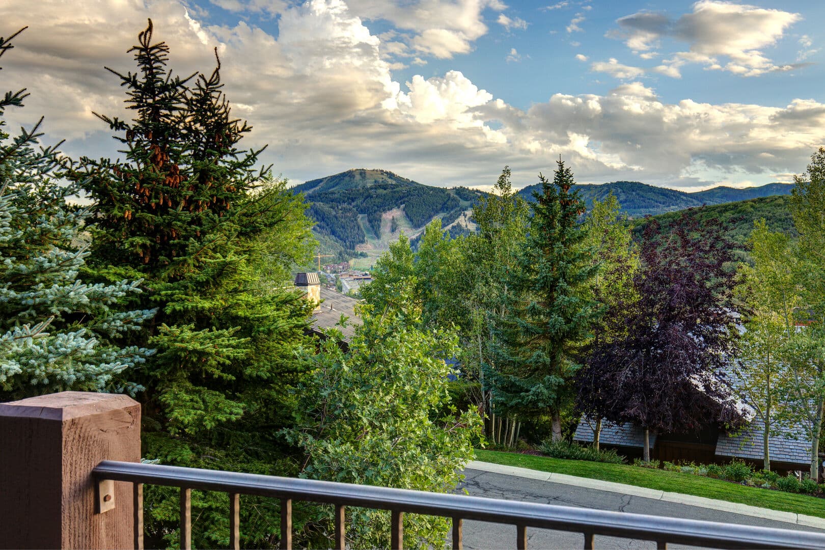 Majestic Bluebird - Image 11