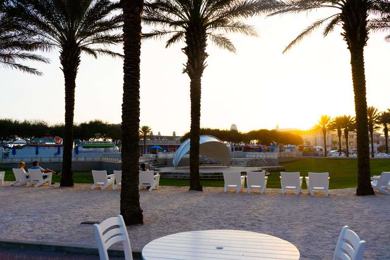 Mellow Yellow - Image 32