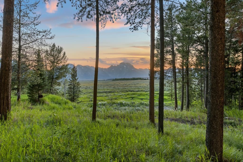 Seasonal Therapy - Image 22