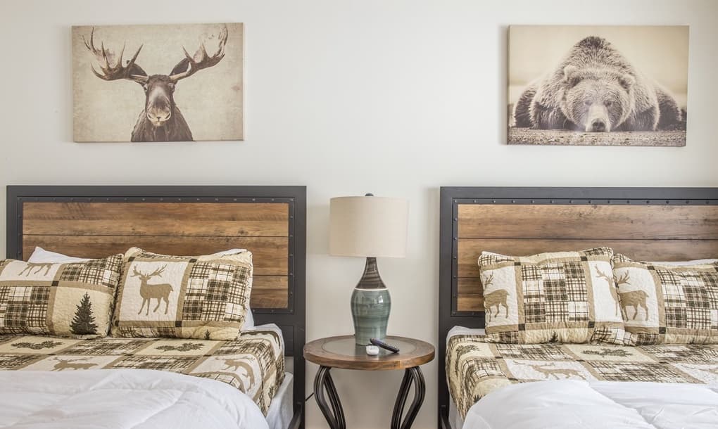 Blacktail Buck - Image 19