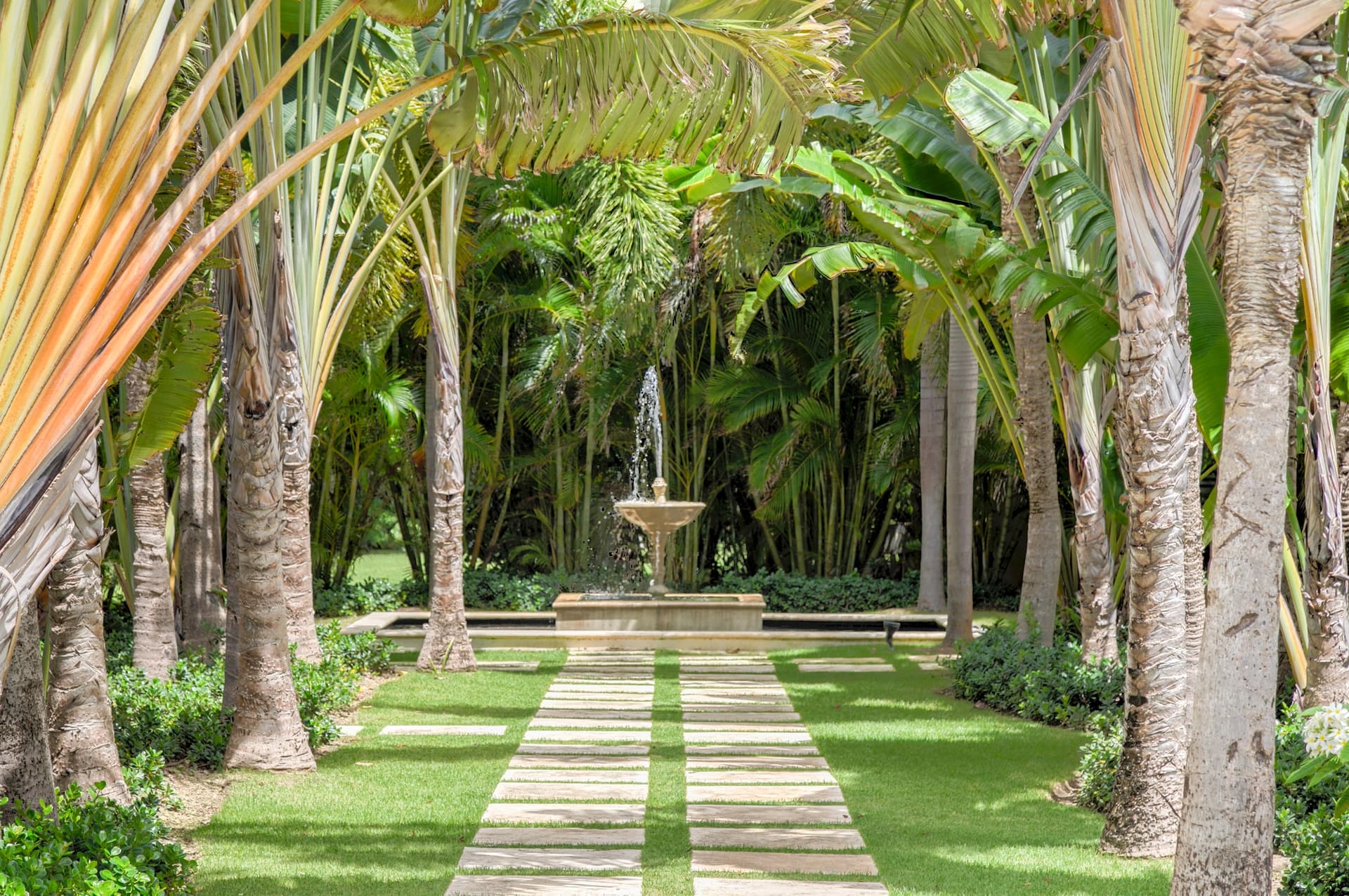 Arrecife Brisa - Image 26