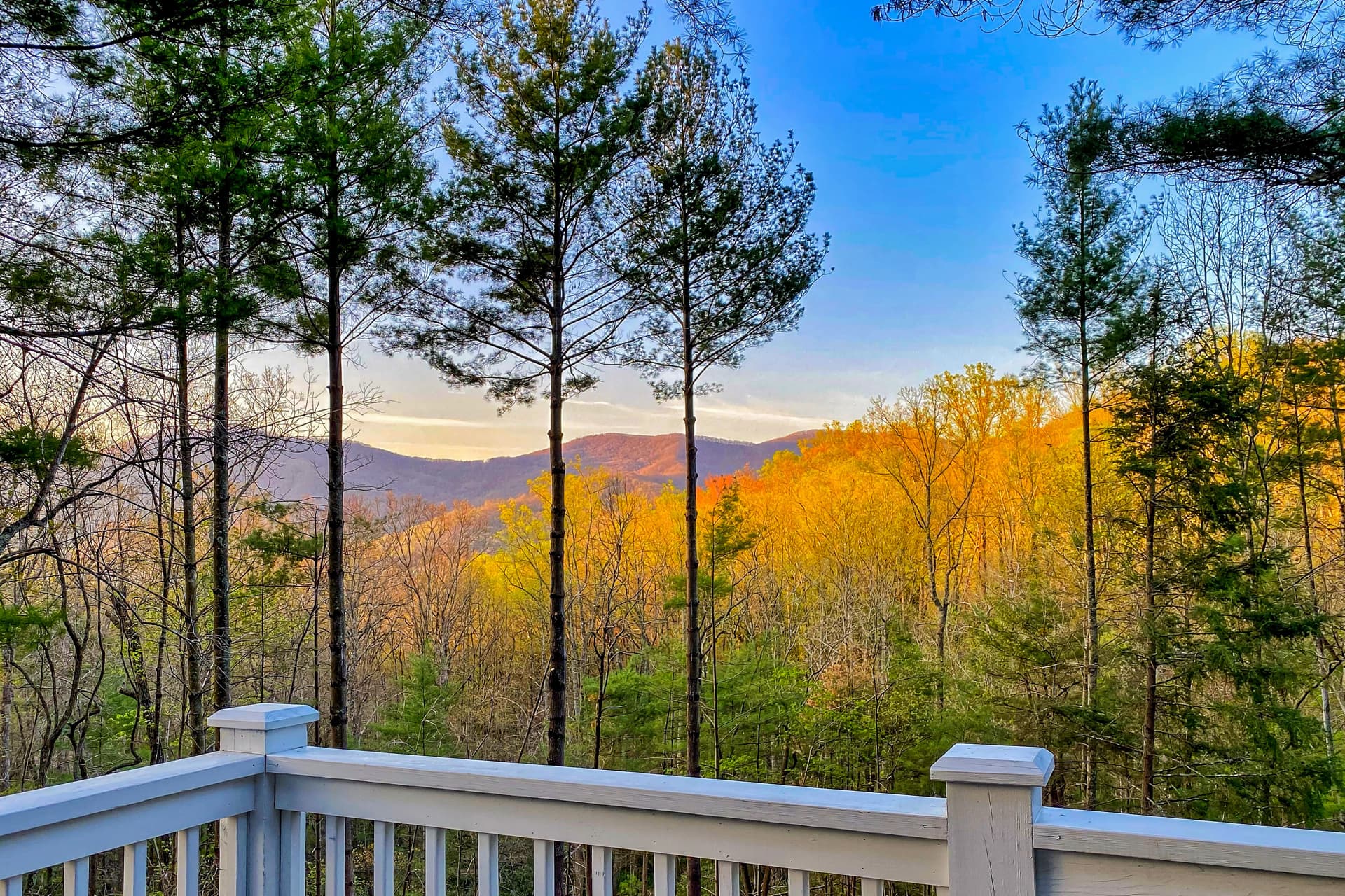 Woodland Dreams - Image 39