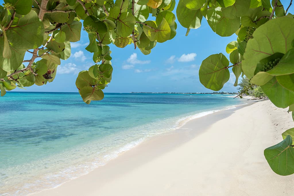 Ritz-Carlton Residence #204 - Image 3