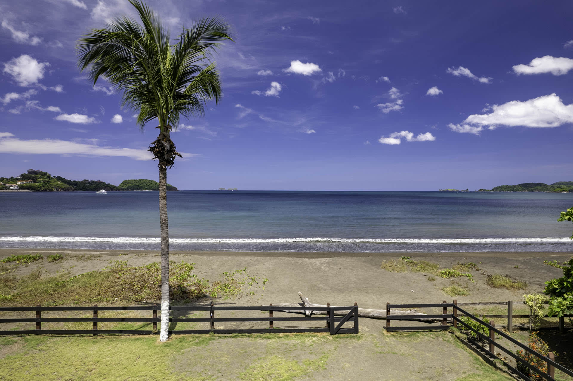 Twin Dolphins - Image 20