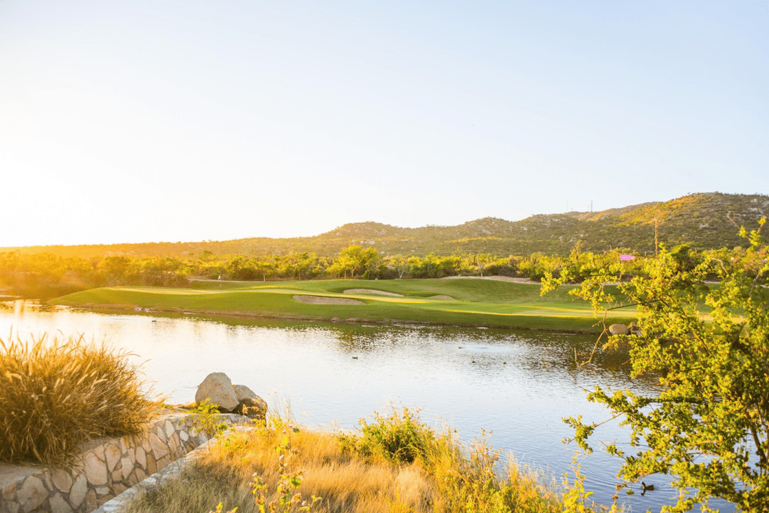 Dos Casas Estate - Image 62