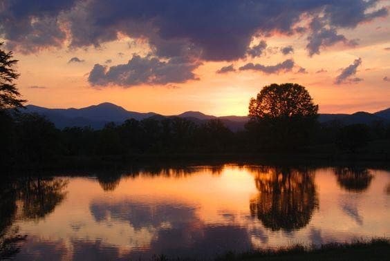 Innisfree Farm - Image 56