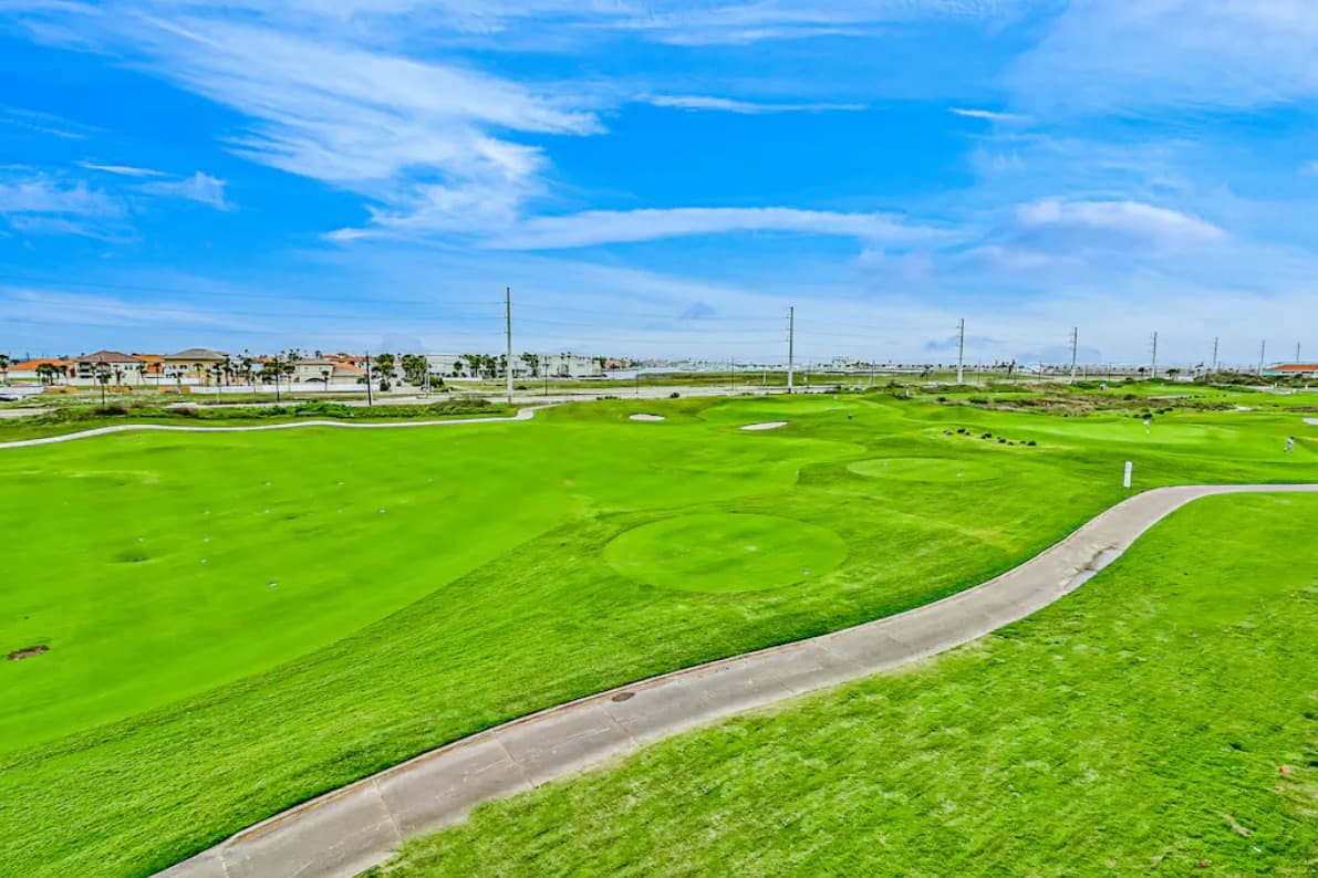 Spanish Dagger Serenity - Image 3