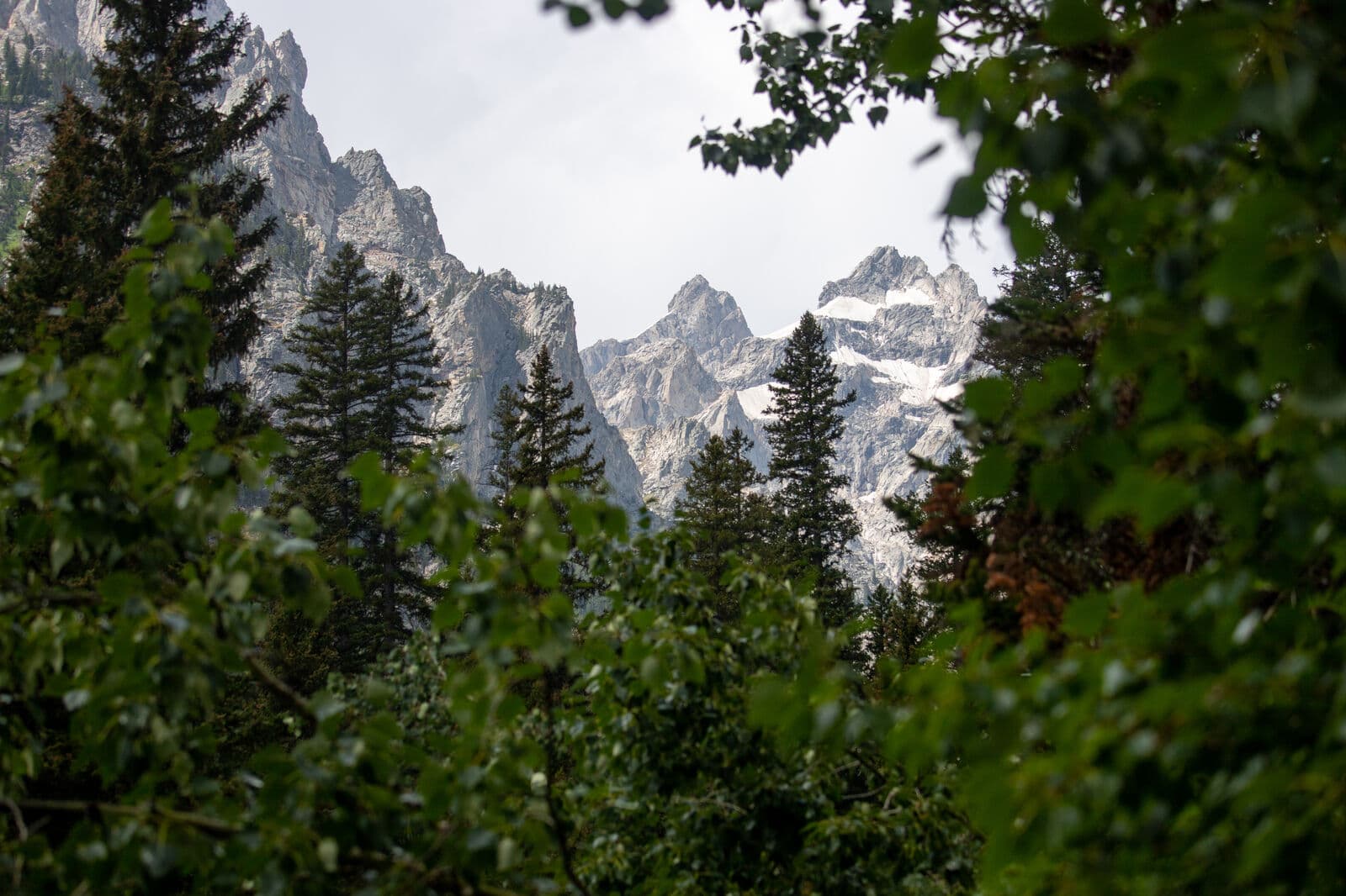 Open Meadows - Image 78