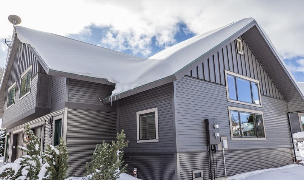 Big Horn #40 - Image 5