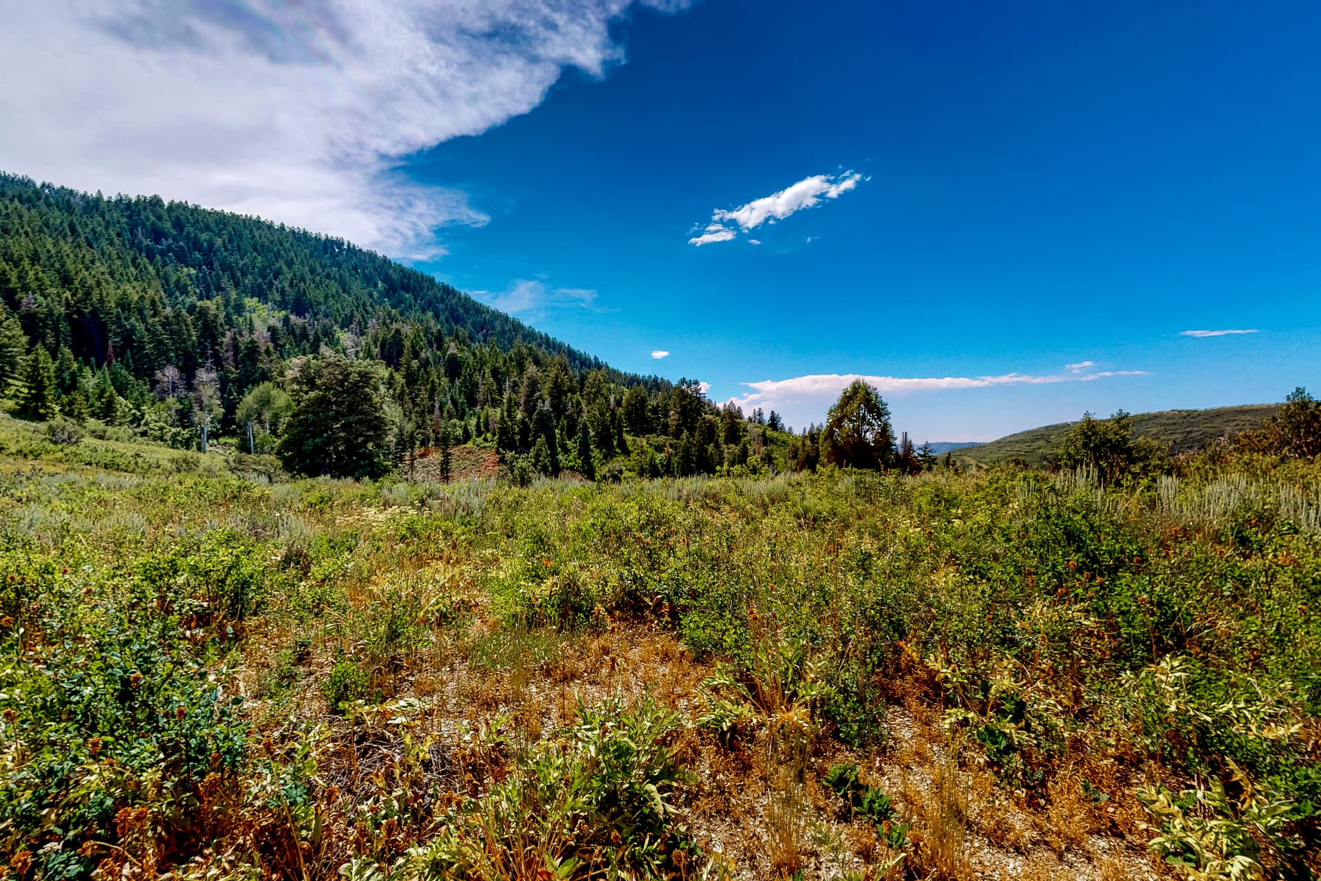 Family Mountain Staycation - Image 46