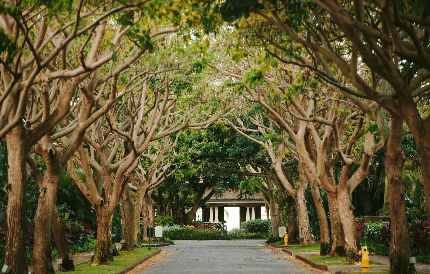 Lodge at Kukui'ula Bungalow #1A - Image 23