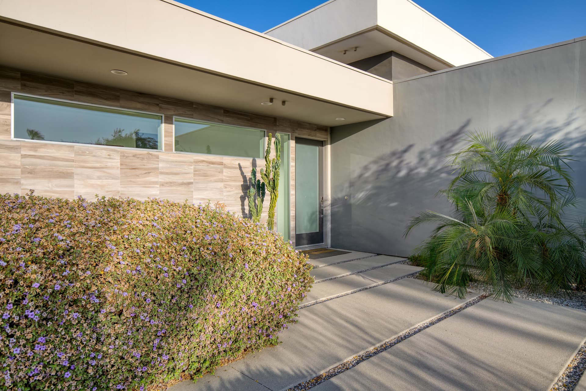 Polo Villa #11 - Image 5