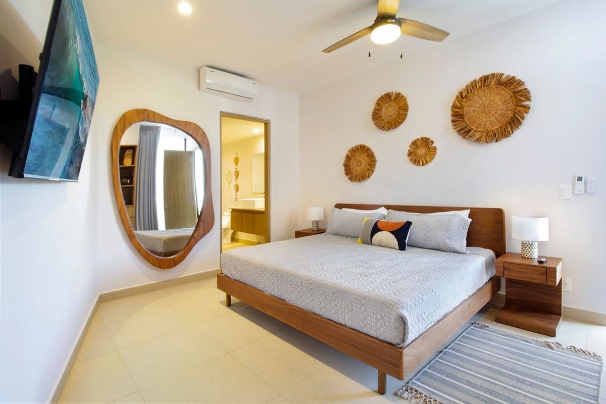 Jungle Sol - Image 4