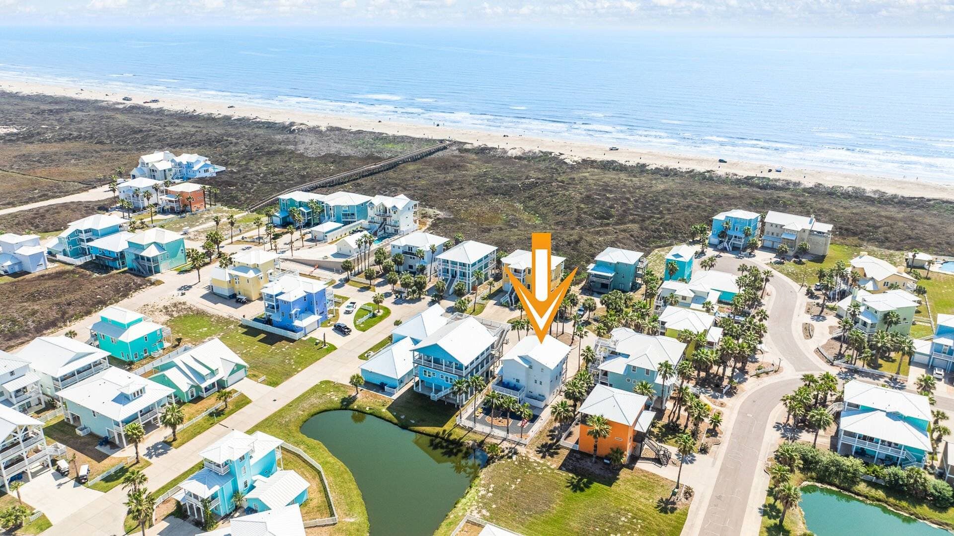 Palm Breeze - Image 2