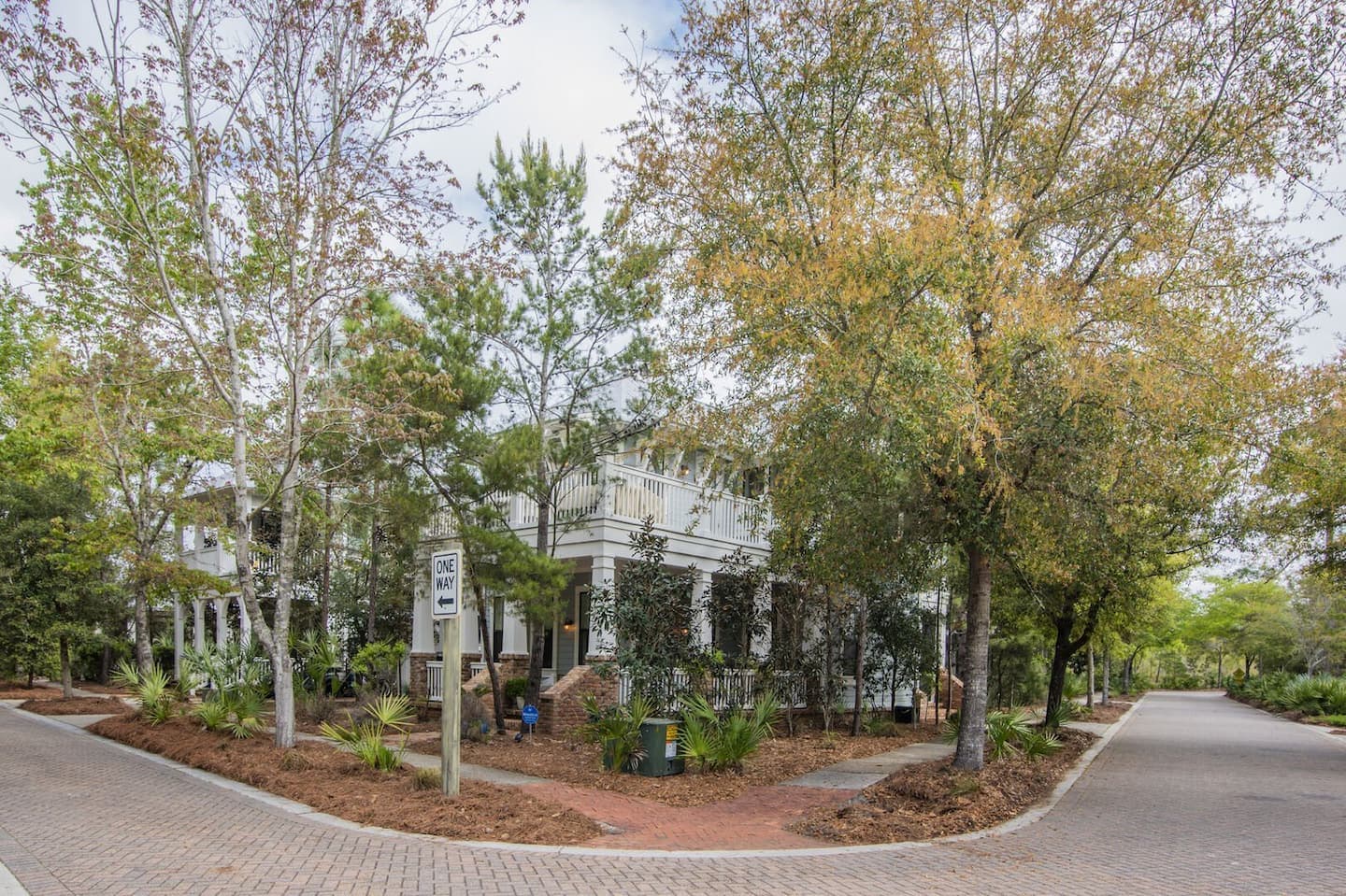 Longleaf Pines - Image 30