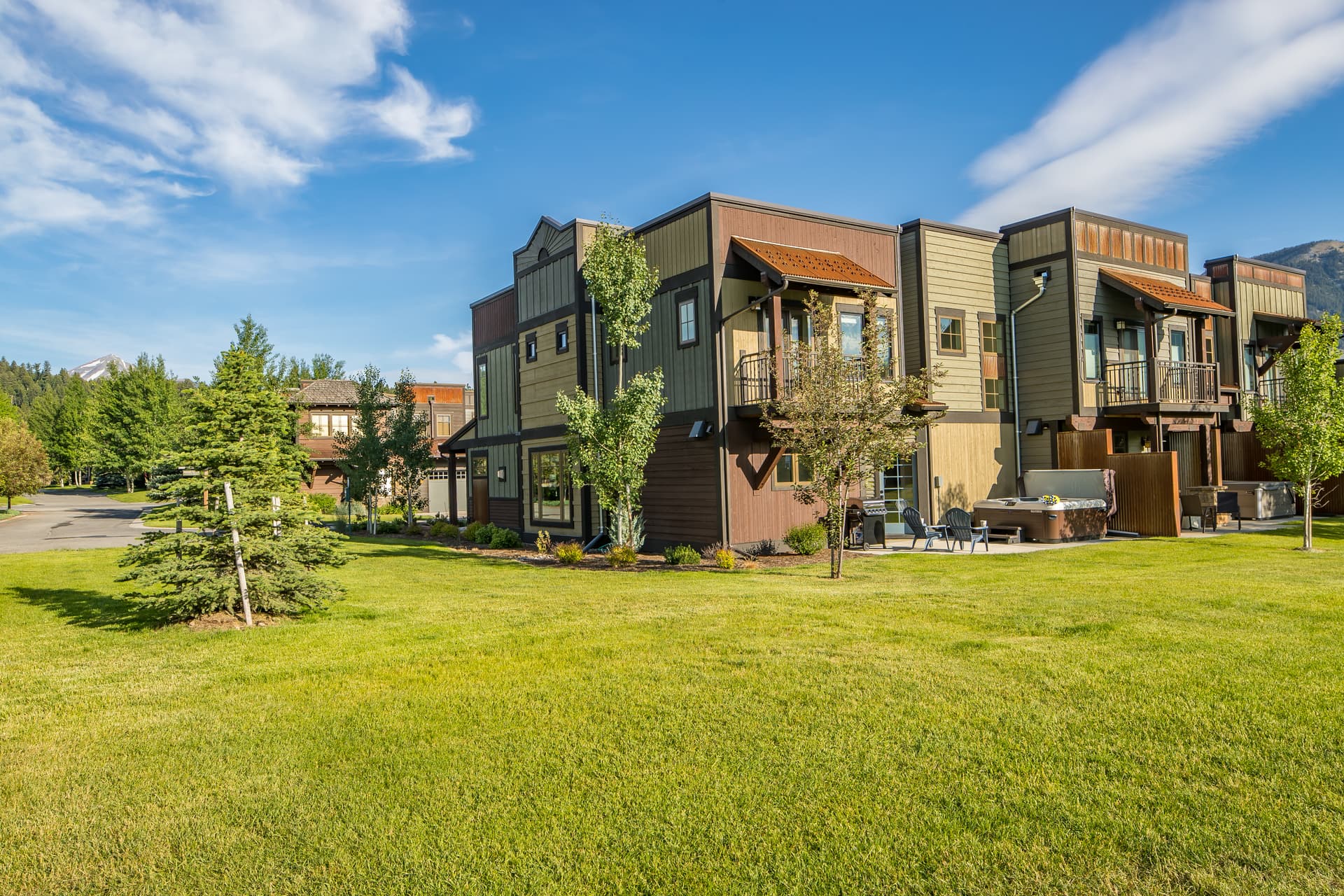 Pheasant #983 - Image 2