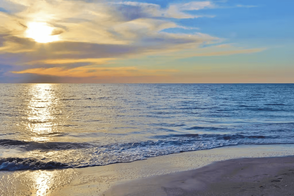 Reflections on the Gulf - Image 2