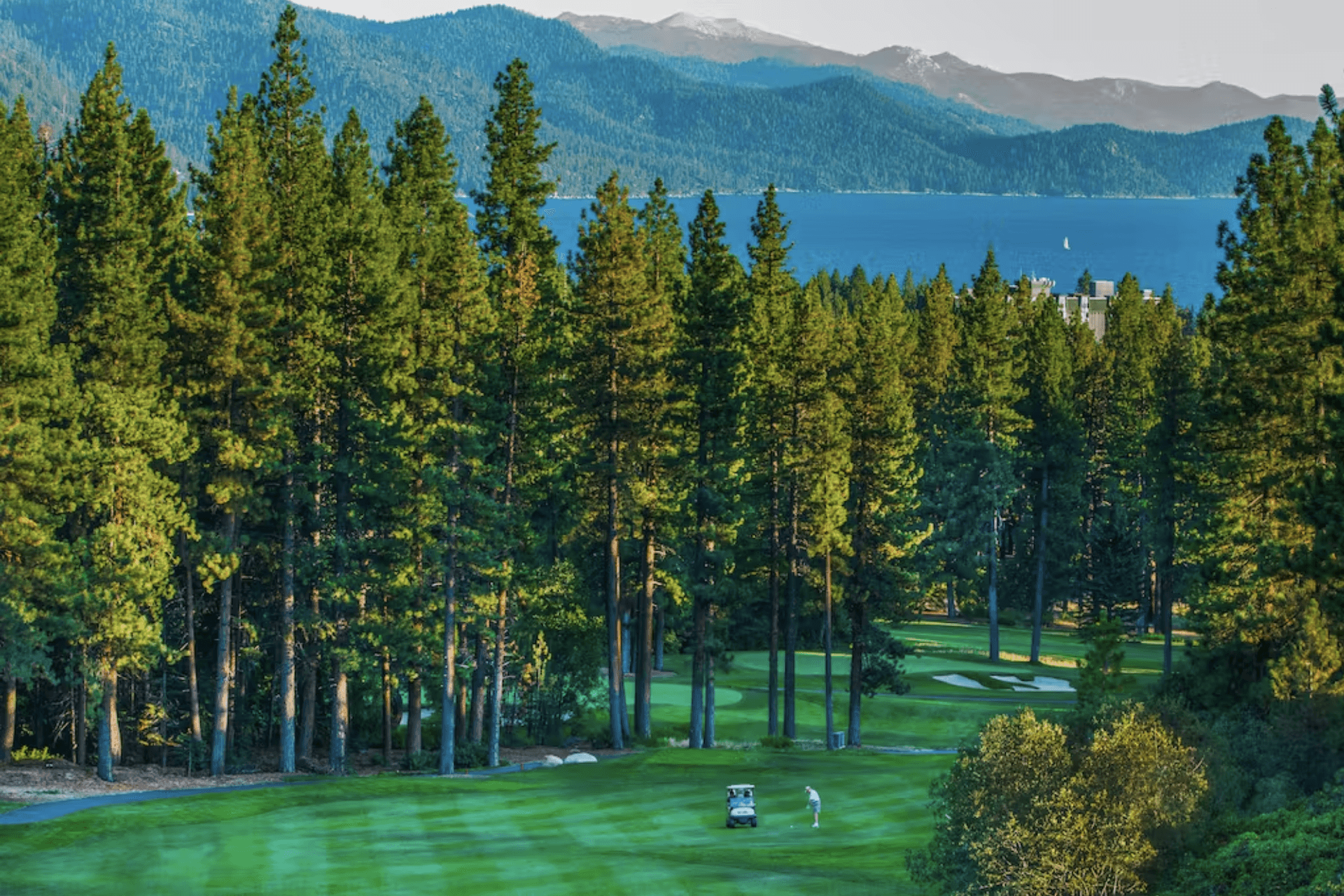 Among the Trees Home - Image 32