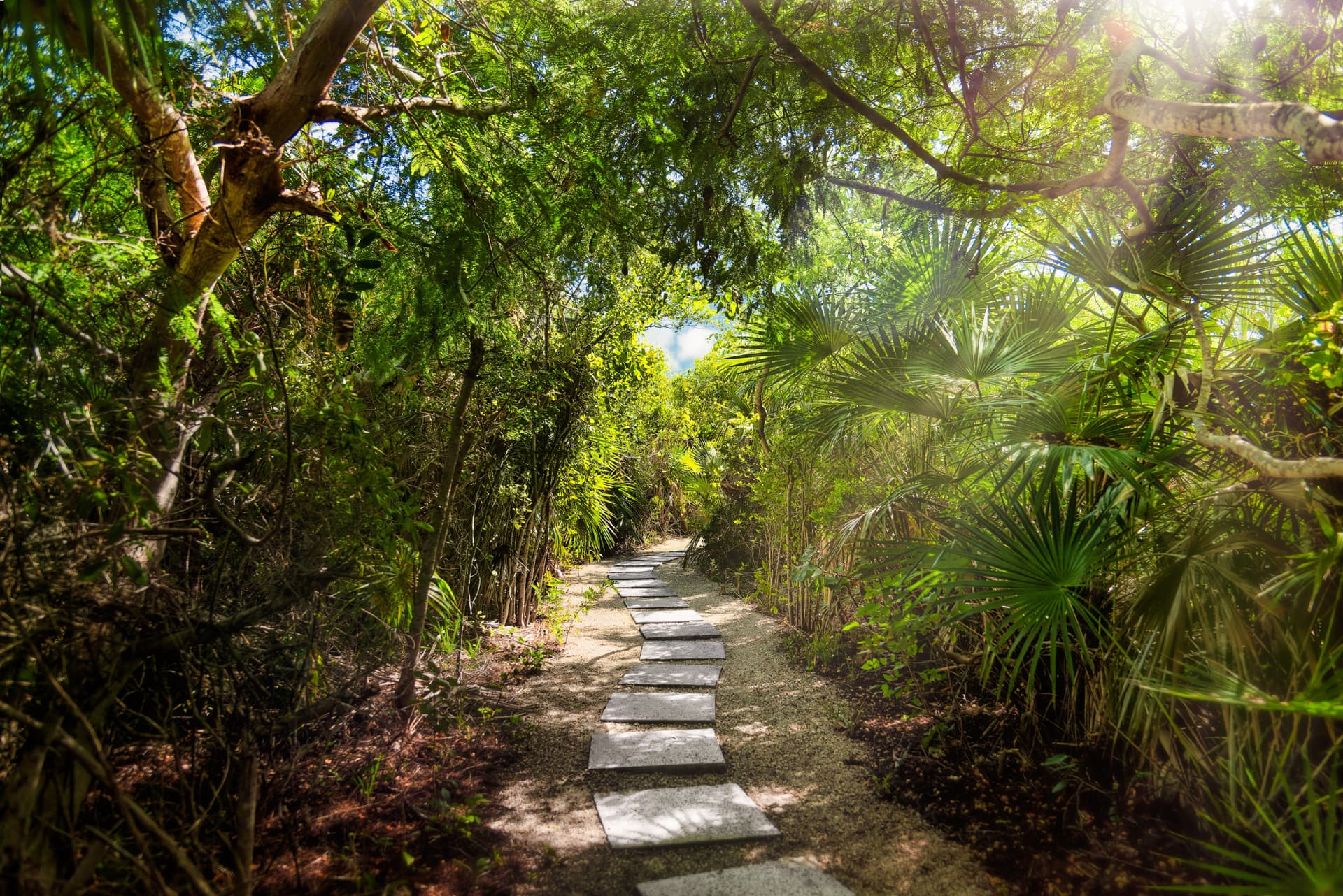 Alize Villa - Image 41