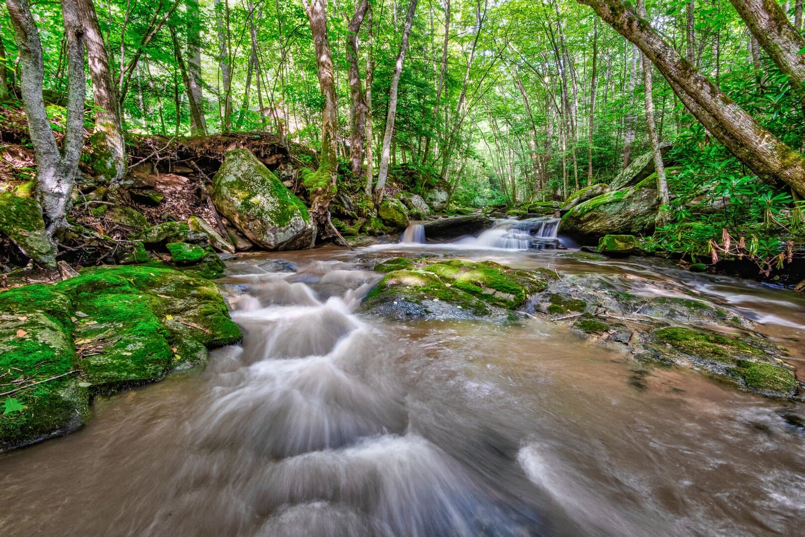 Beech Creek Cabin - Image 4