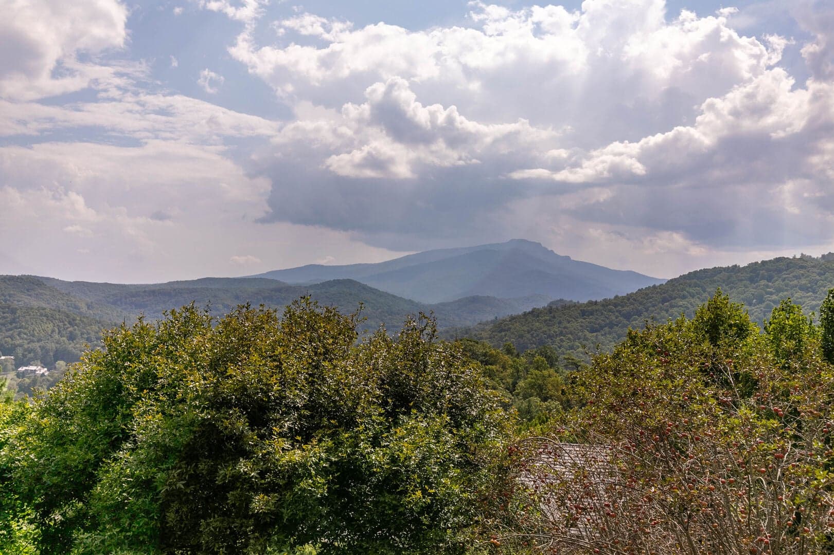 Hawthorn House - Image 79