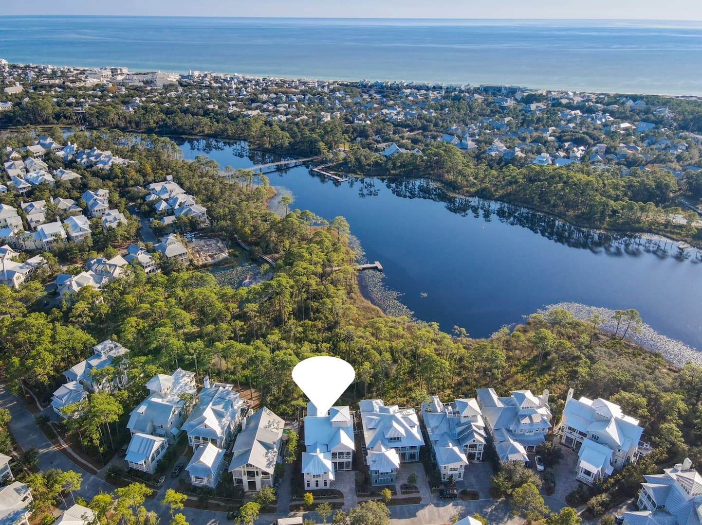 Sand Between Pines - Image 40
