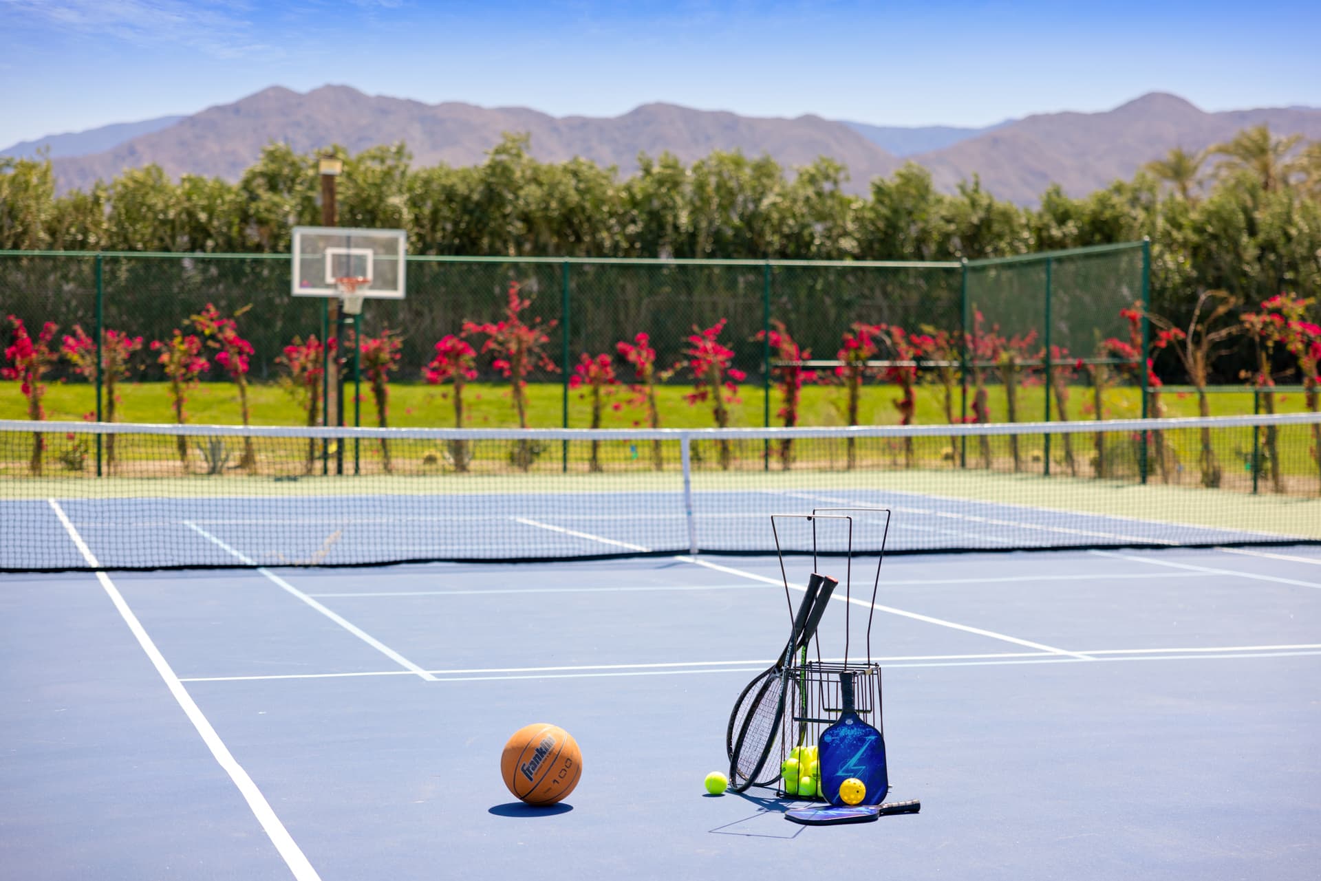 Buena Vista - Image 12