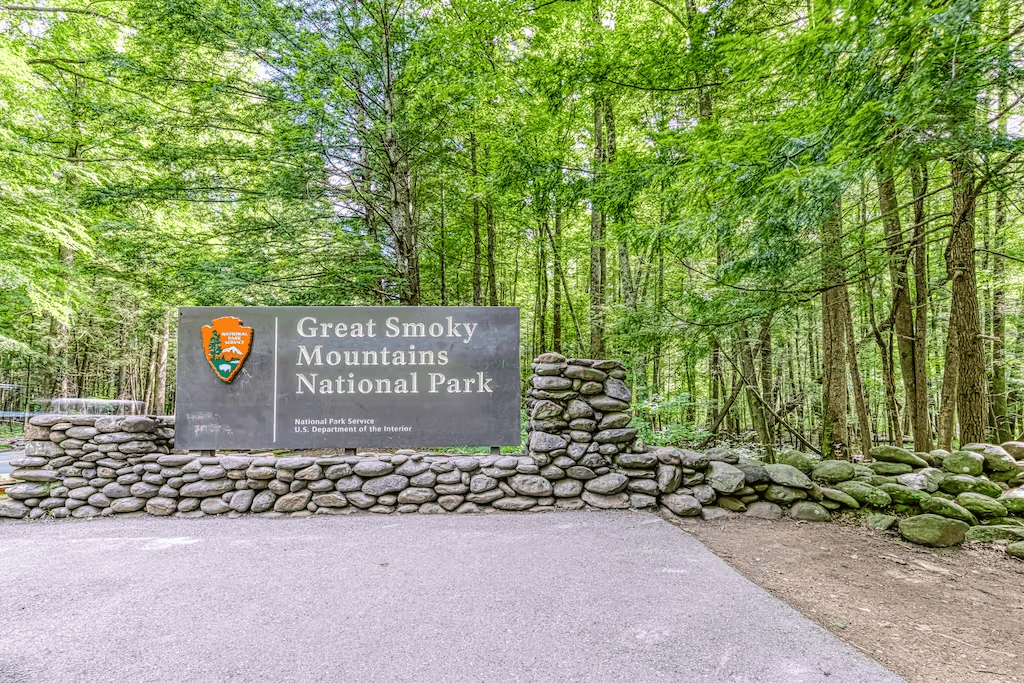 Bear Tracks - Image 31