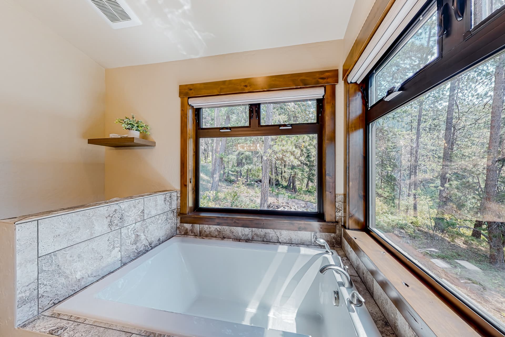 Leaning Pine Point at Half Round Bay - Image 16