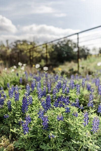 Downtown Retreat - Image 15