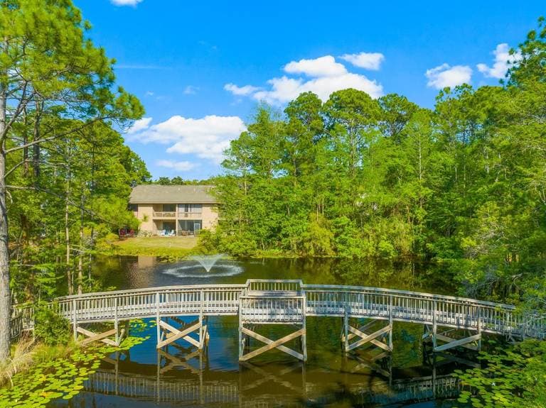 Cypress Sanctuary - Image 33