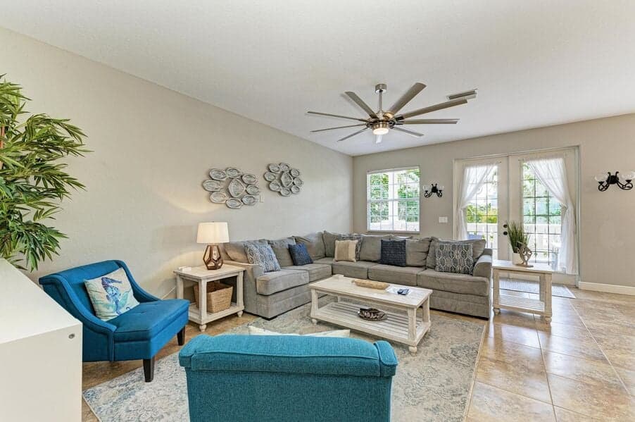 Island Nautilus - Image 4