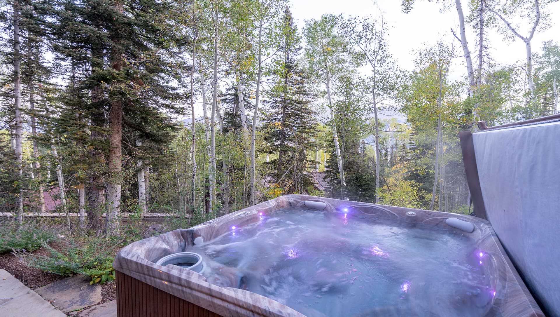 Ski Trail Place - Image 2