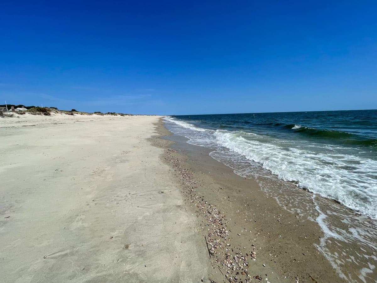 Shore Thing - Image 34