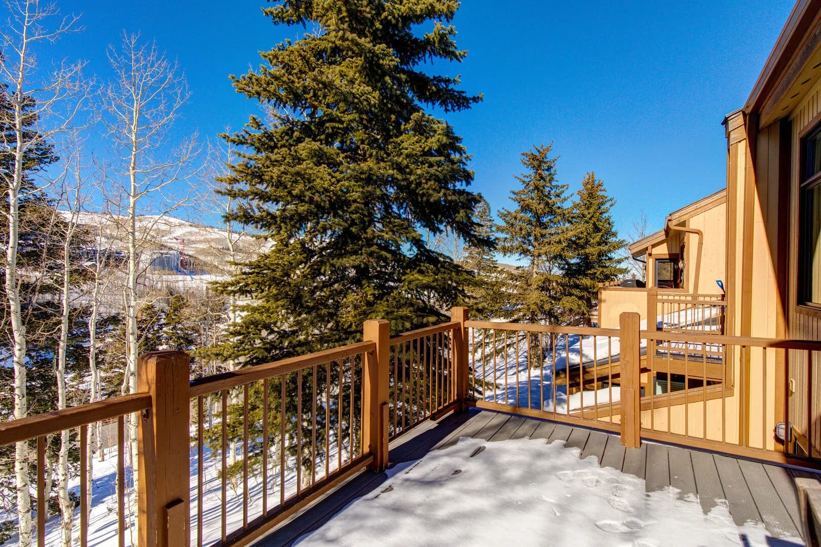 Belle Home - Image 50