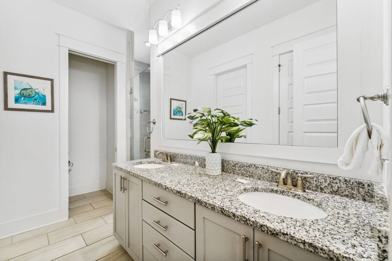 Reef Intermission - Image 16