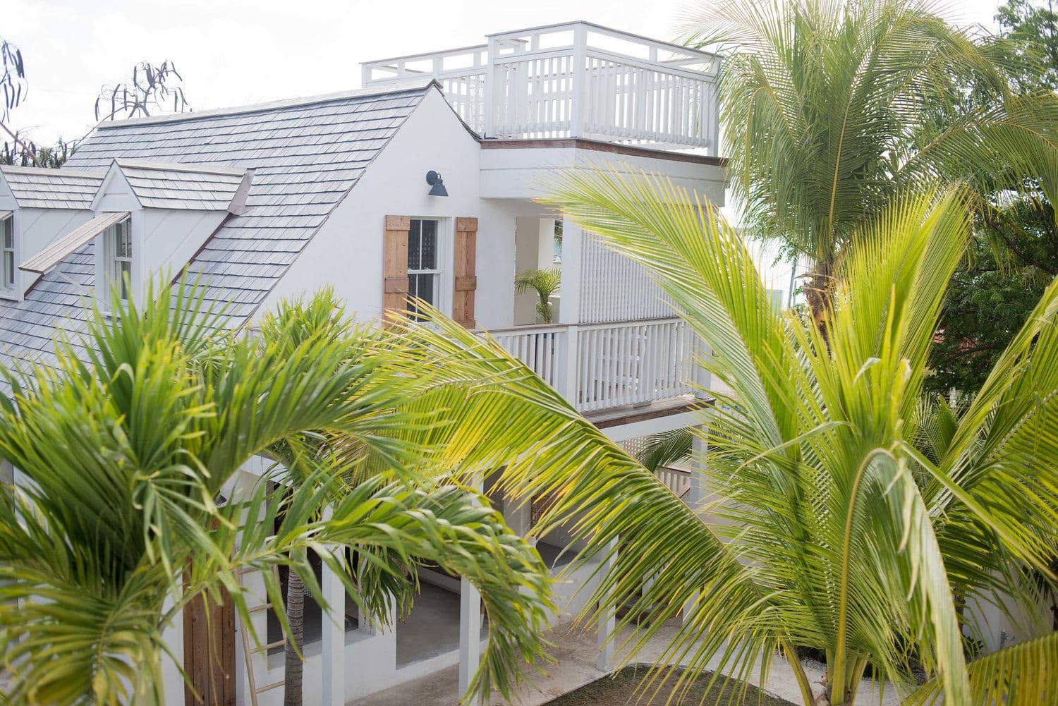 Conch Shell Harbour Island - Image 3