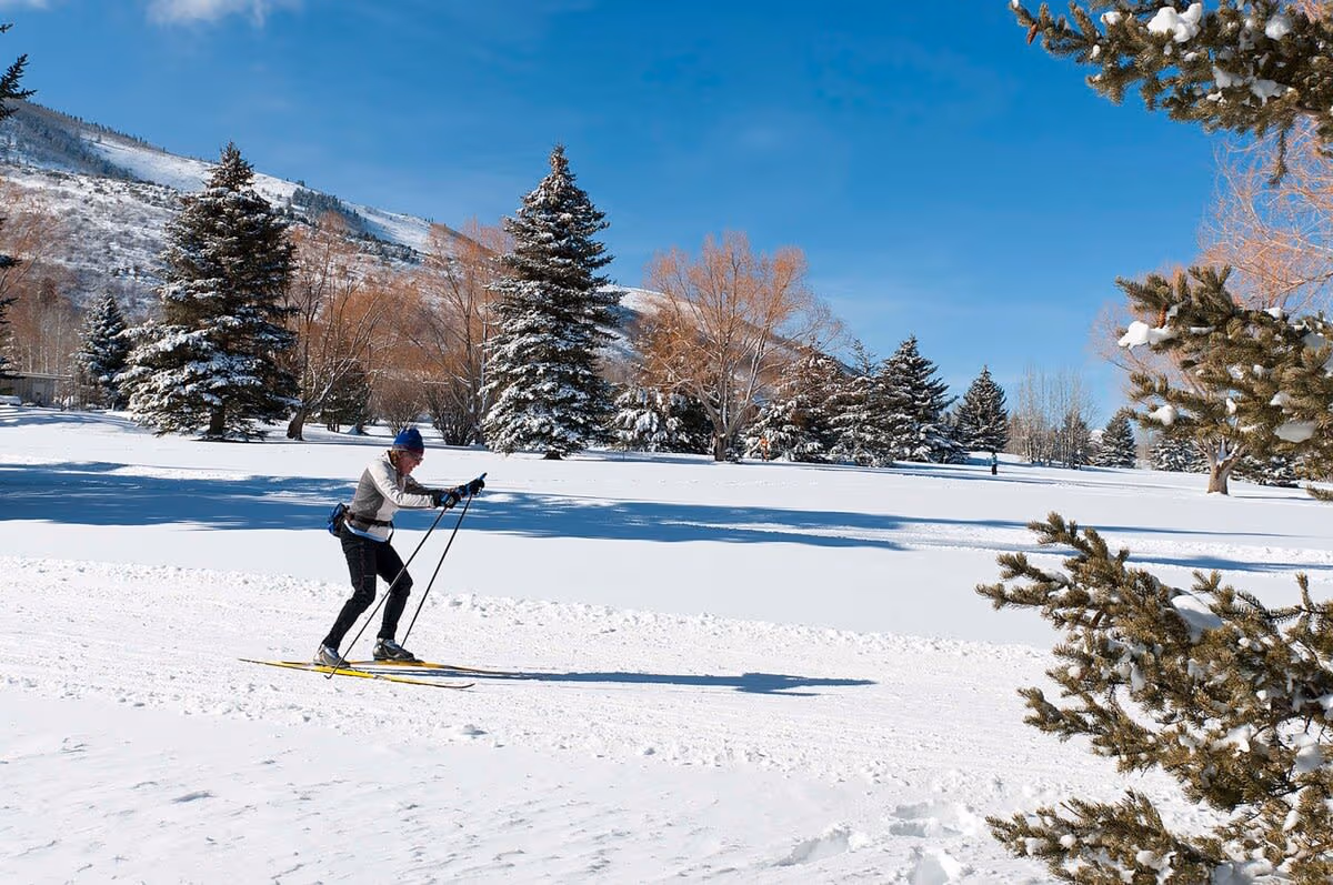 Powder View Chalet - Image 36